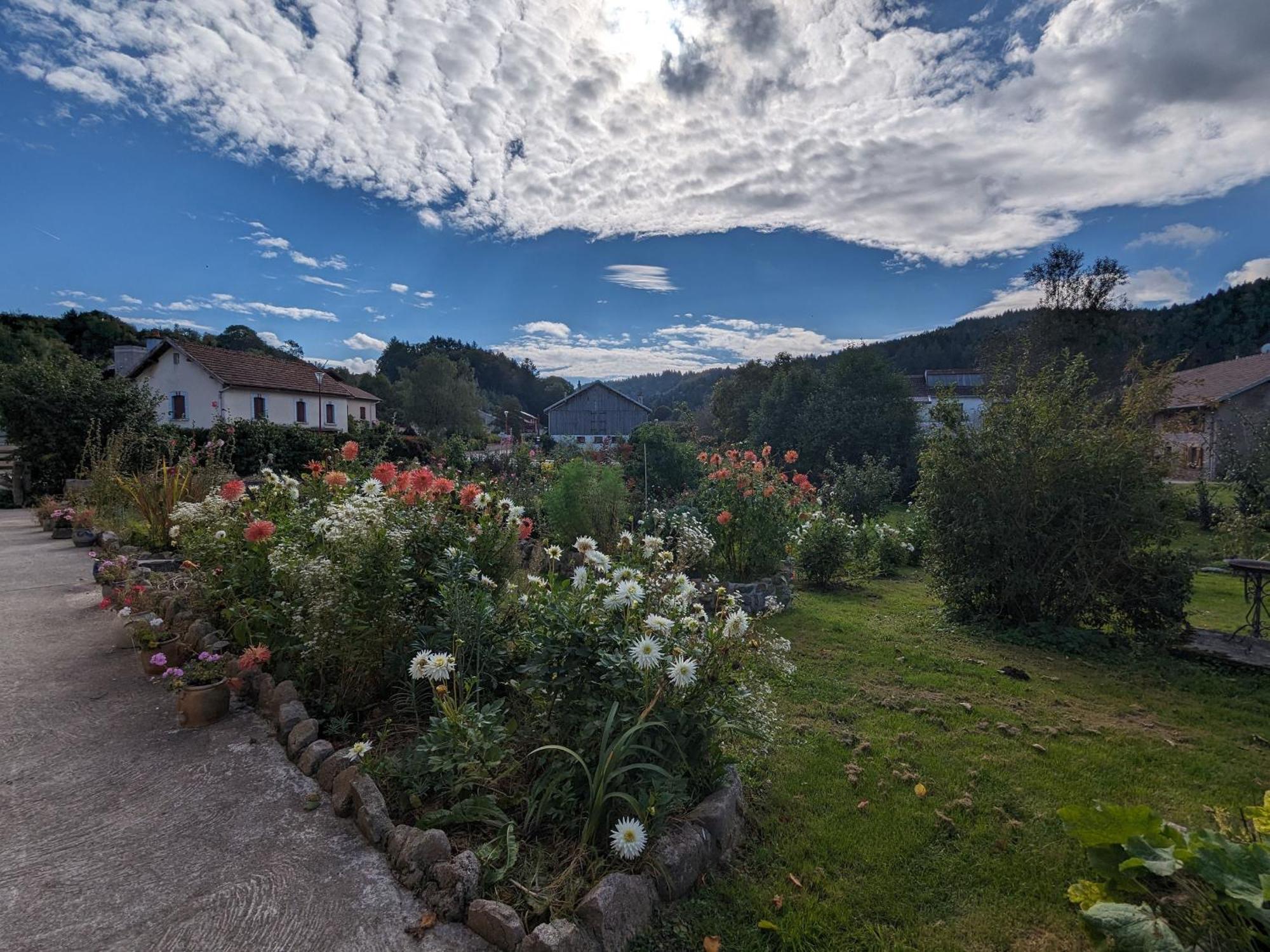 Chambre Familiale Climatisee Avec Acces Jardin - Fr-1-589-663 Bed & Breakfast Rehaupal Exterior photo